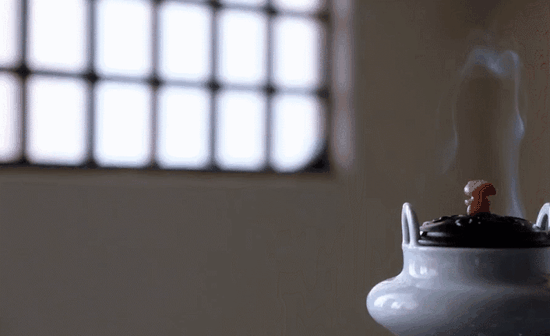 Z6Bi-hqzxptn1121378.gif