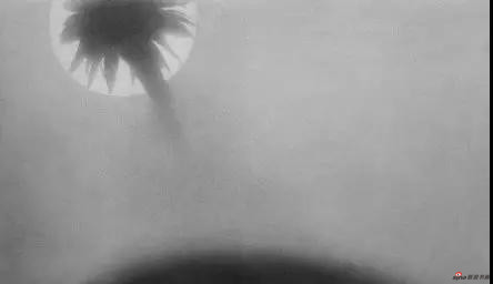 -V02-hqzxptn5932458.jpg