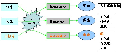 v1ny-hqzxptp6667861.jpg