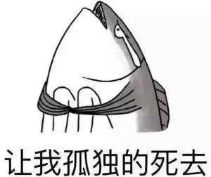 9_wj-hrvcwnk1834746.jpg