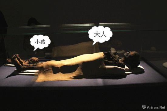 M_CP-hryfqhm5919735.jpg