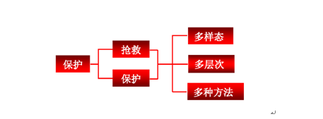 21e--hsccyrs5351223.png