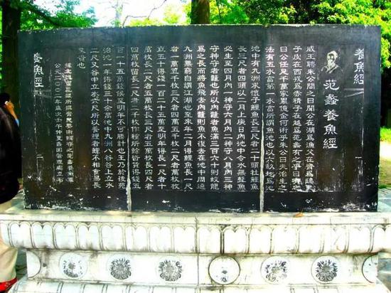 LaFu-htfpvyz9971890.jpg