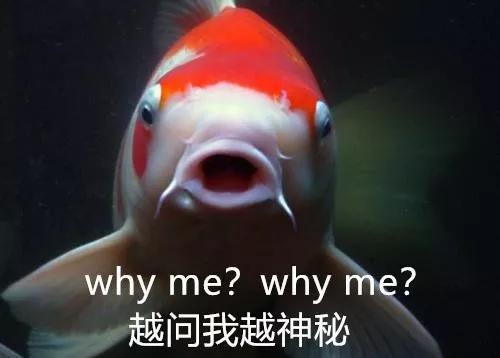 7t3W-htfpvyz9971568.jpg