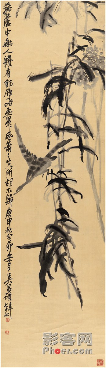 0da9-ietnfsp9043278.jpg