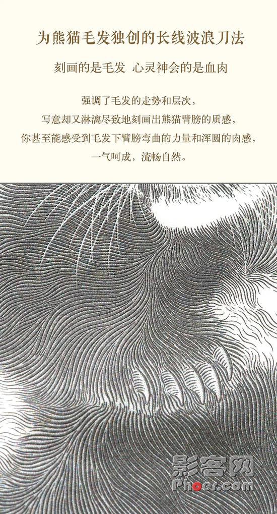 ce7a-iieqapt9584215.jpg