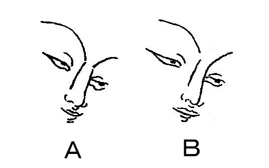 305a-iixntzz5263307.jpg