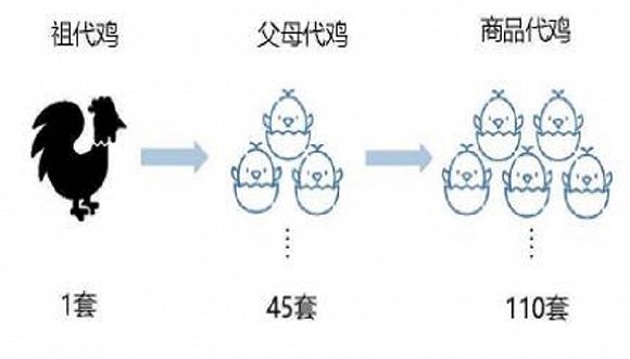 e511-imkzenp6760306.jpg