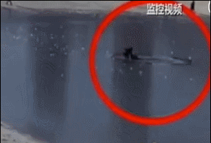 c338-imkzenq0333913.gif c338-imkzenq0333913.gif