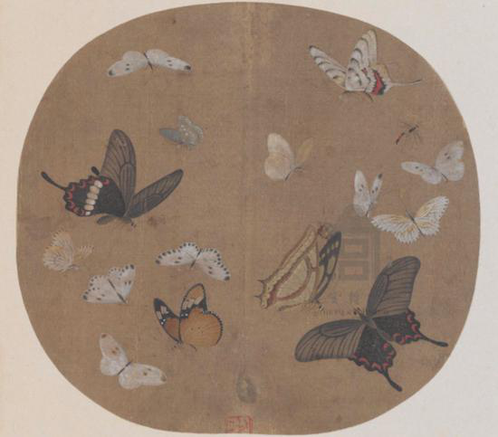 d50b-iqyryku9417145.png