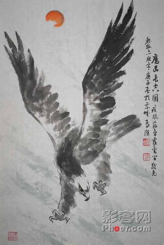 5837-irpunah7477949.jpg