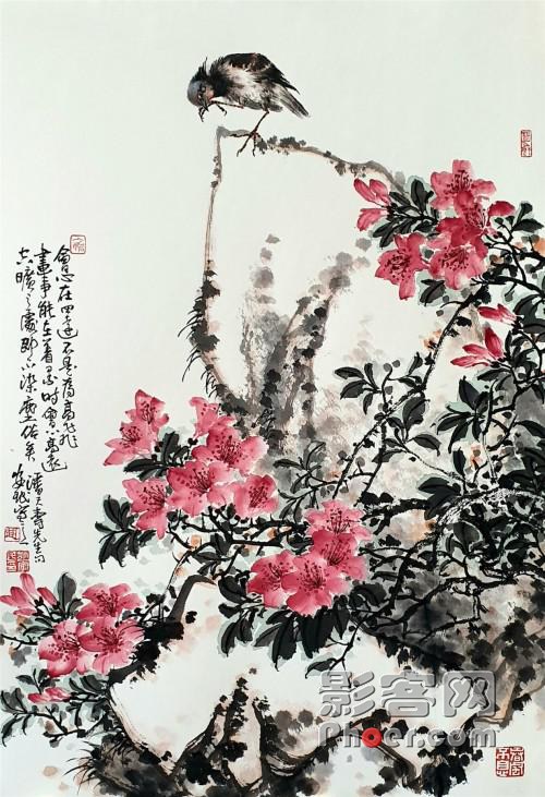 c7c5-irtymmv8276074.jpg