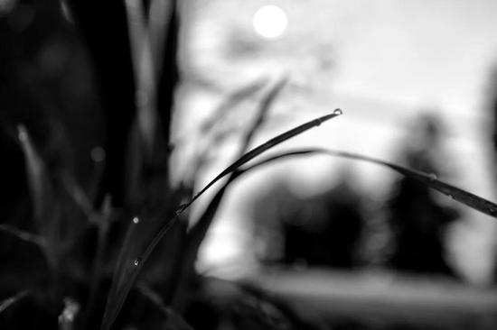 e550-ivmqpck0576044.jpg