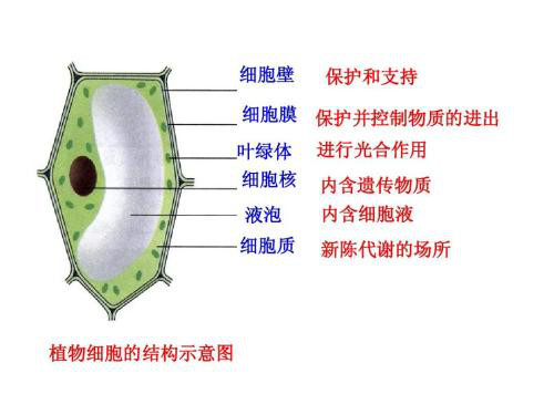 93f0-iwhseit7508676.jpg