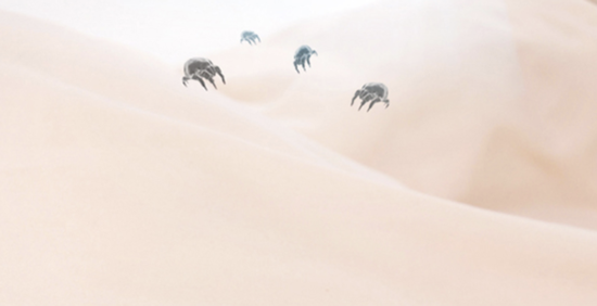 eb4b-ixeeiry6949966.png