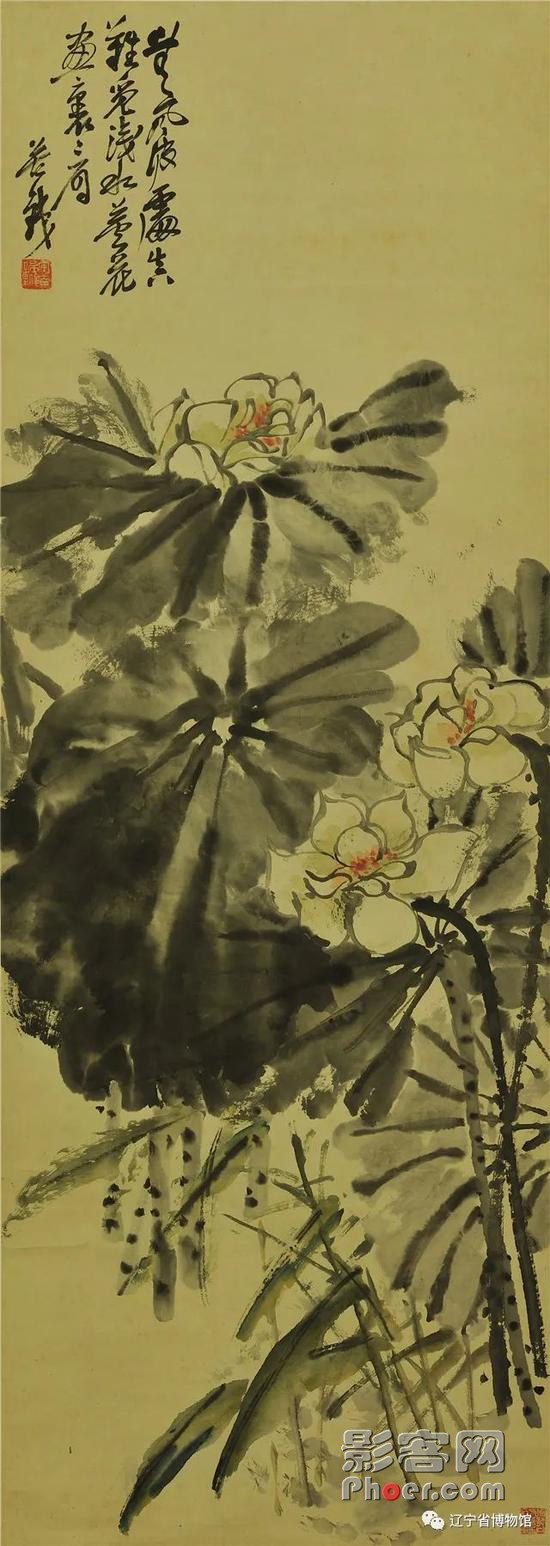 d745-iyywcsz0265977.jpg