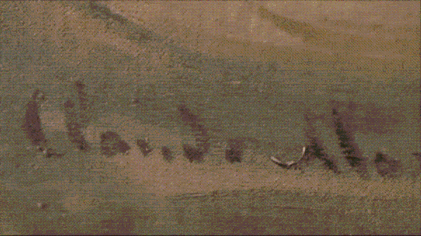 f137-izeysaz7233044.gif