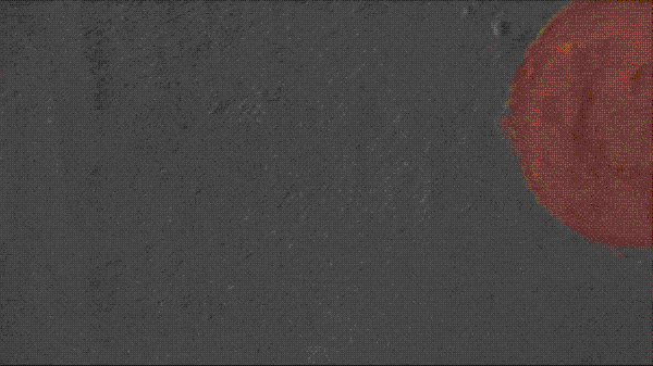 6fa3-izeysaz7233089.gif