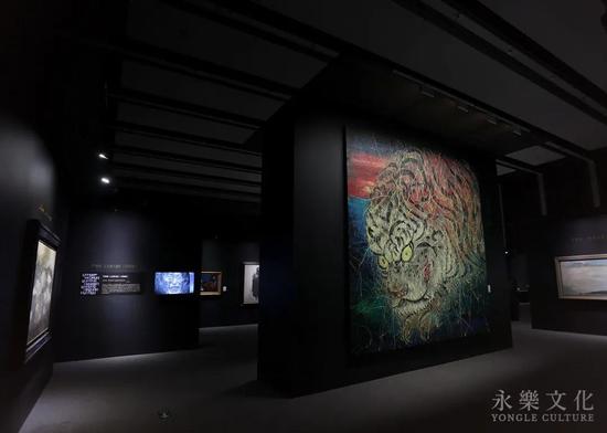 d5de-kcaeqzx3496506.jpg