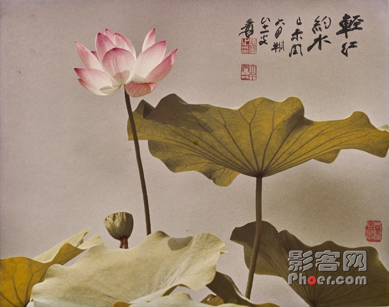 7b6f-kffctcc2959909.jpg