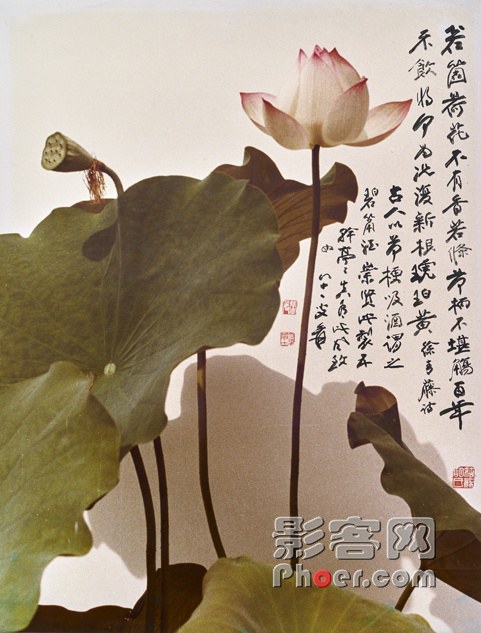 f3fb-kffctcc2961084.jpg