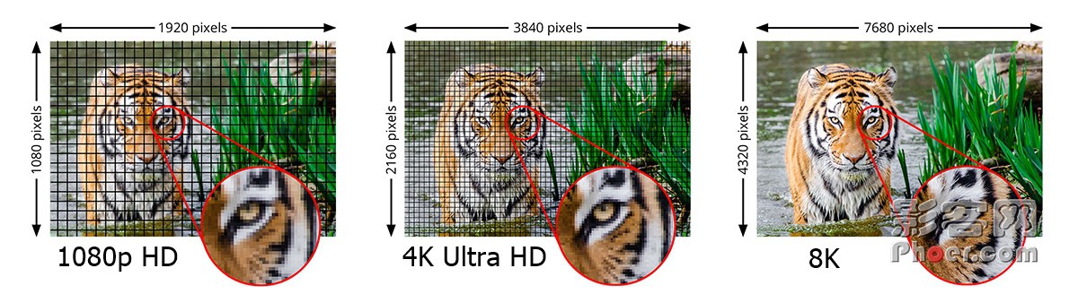 4d9e-380dccadb2e635868228f7dc1990e476.jpg