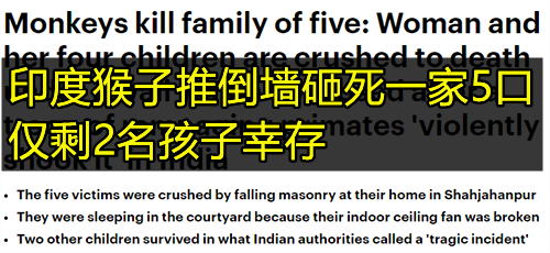 d5d5-3a2db839f424244d0858d8515681f5e7.png