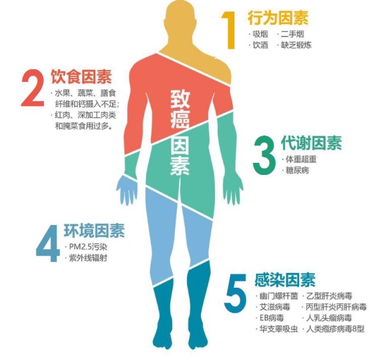 8aa4-42a2082b6284e5cdb3be02ddaca21ed4.jpg