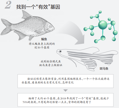 e364-a931c5587c37a0e7844df9ac1d456e64.png e364-a931c5587c37a0e7844df9ac1d456e64.png
