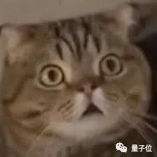 2d38-9a29d75838e68e2a848a0047b79bf5c4.jpg