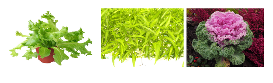 ea2a-9a92a1a97df0386361398bca1aedaeee.png ea2a-9a92a1a97df0386361398bca1aedaeee.png