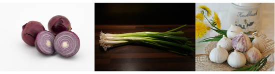 d333-13a7e0bd3d63c9e89848ea320e9dd6f3.png d333-13a7e0bd3d63c9e89848ea320e9dd6f3.png