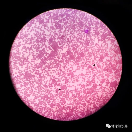 5cff-70533a6f2efbae5c0cf7db658340b7bc.jpg