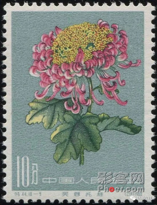 53be-8b3289cc536a569aff5b71c346fa0ed2.jpg