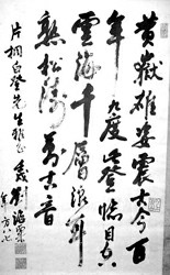 鷨Ʒ