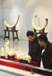 ˲ٵĲؼۿ