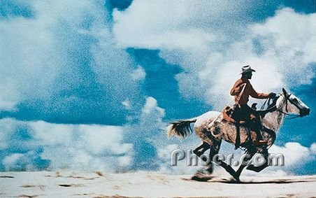 Ļ-˹Richard PrinceƷCowboy Series