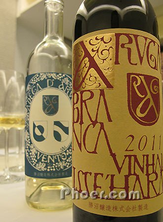 죬Aruga Brancaݣԣ2010.