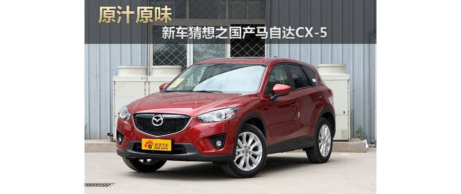 ԭ֭ԭζ ³֮ԴCX-5
